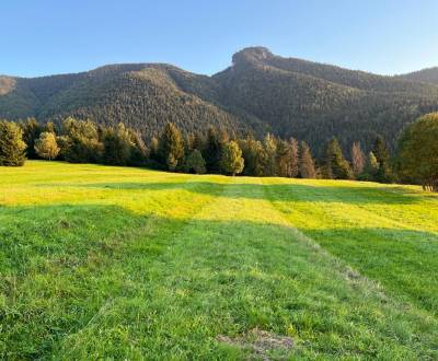 Kaufen landwirtsch. Grundstücke, landwirtsch. Grundstücke, Žilina, Slo