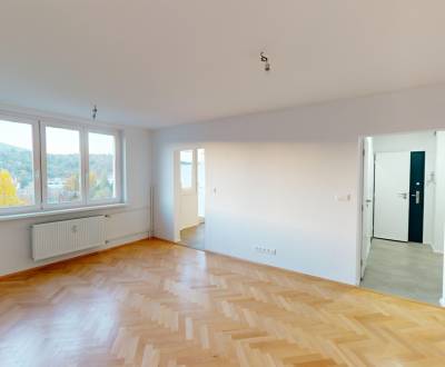 Kaufen 3-Zimmer-Wohnung, 3-Zimmer-Wohnung, SNP, Nové Mesto nad Váhom, 