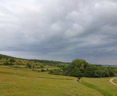 Kaufen landwirtsch. Grundstücke, landwirtsch. Grundstücke, Trnava, Slo