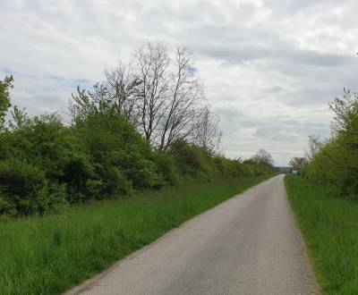 Kaufen landwirtsch. Grundstücke, landwirtsch. Grundstücke, Pezinok, Sl