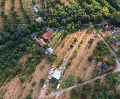 Kaufen Weinberg, Weinberg, Horné Židiny, Bratislava - Nové Mesto, Slow