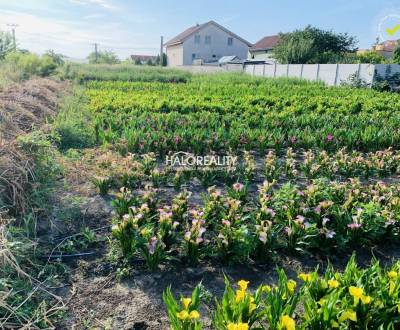 Kaufen Baugrund, Senec, Slowakei