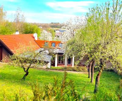 Kaufen Einfamilienhaus, Einfamilienhaus, Neusiedl am See, Österreich