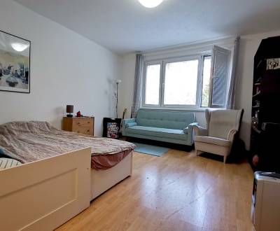 Kaufen 1-Zimmer-Wohnung, 1-Zimmer-Wohnung, Farského, Bratislava - Petr