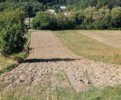 Kaufen landwirtsch. Grundstücke, landwirtsch. Grundstücke, Šurabová, P