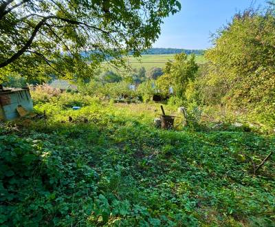 Kaufen Garten, Garten, Trenčín, Slowakei