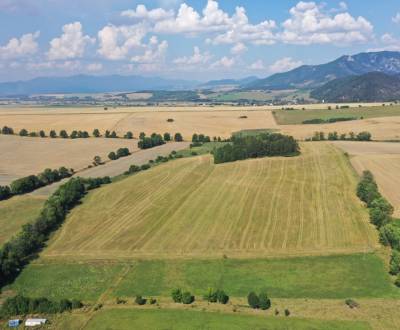 Kaufen landwirtsch. Grundstücke, landwirtsch. Grundstücke, Mošovce, Tu