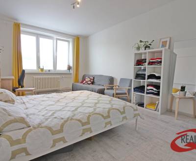 Kaufen 2-Zimmer-Wohnung, 2-Zimmer-Wohnung, Ukrajinská, Bratislava - No