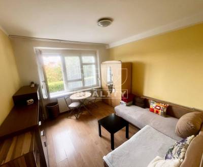 Kaufen 1-Zimmer-Wohnung, Bratislava - Nové Mesto, Bratislava, Slowakei