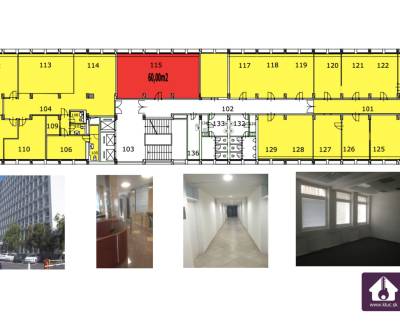 Moderne Büros ab 19m2 bis zu einem ganzen Stockwerk (600m2)