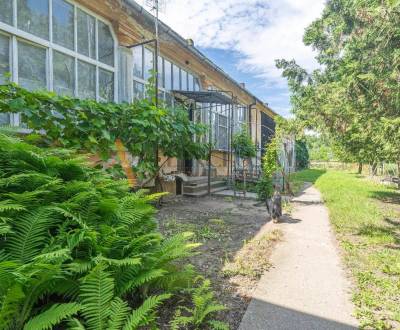 Kaufen Einfamilienhaus, Šaľa, Slowakei