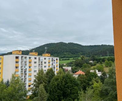 Suche 4-Zimmer-Wohnung, 4-Zimmer-Wohnung, Banská Bystrica, Slowakei