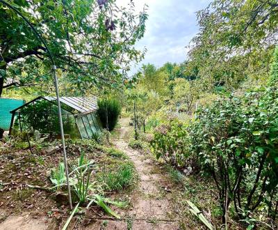 Kaufen Garten, Garten, Košice - Juh, Slowakei