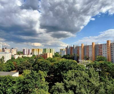 Mieten 2-Zimmer-Wohnung, 2-Zimmer-Wohnung, Gessayova, Bratislava - Pet