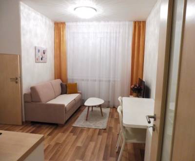 Mieten 1-Zimmer-Wohnung, 1-Zimmer-Wohnung, Jégého, Bratislava - Ružino