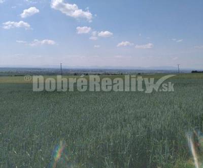 Kaufen landwirtsch. Grundstücke, landwirtsch. Grundstücke, Galanta, Sl