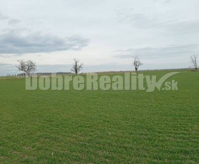 Kaufen landwirtsch. Grundstücke, landwirtsch. Grundstücke, Galanta, Sl