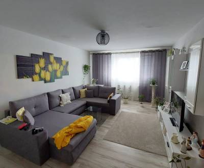 Mieten 3-Zimmer-Wohnung, 3-Zimmer-Wohnung, Košice-okolie, Slowakei