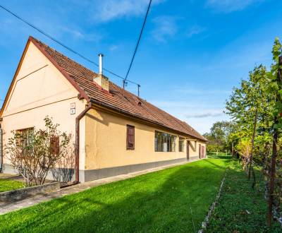 Kaufen Einfamilienhaus, Einfamilienhaus, Malinovská, Senec, Slowakei