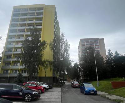 Kaufen 1-Zimmer-Wohnung, 1-Zimmer-Wohnung, Podháj, Banská Bystrica, Sl