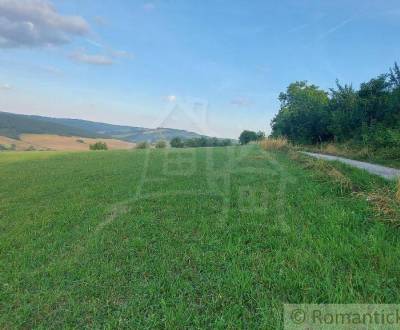 Kaufen landwirtsch. Grundstücke, landwirtsch. Grundstücke, Myjava, Slo