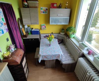 Kaufen 2-Zimmer-Wohnung, 2-Zimmer-Wohnung, A.Hlinku, Zvolen, Slowakei