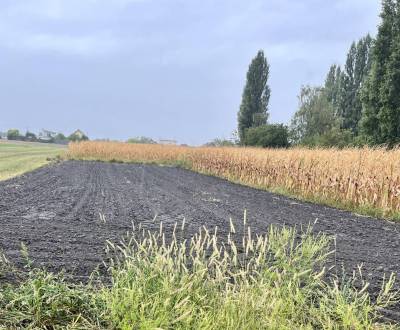 Kaufen Baugrund, Baugrund, Dunajská Streda, Slowakei