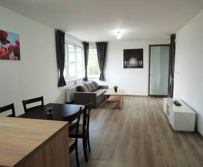 Mieten 3-Zimmer-Wohnung, 3-Zimmer-Wohnung, Malokrasňanská, Bratislava 