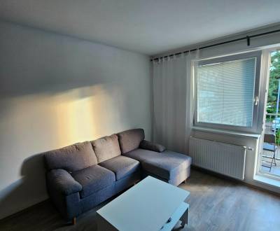 Mieten 2-Zimmer-Wohnung, 2-Zimmer-Wohnung, Račianska, Bratislava - Nov