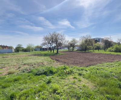 Kaufen landwirtsch. Grundstücke, landwirtsch. Grundstücke, Grobská, Se