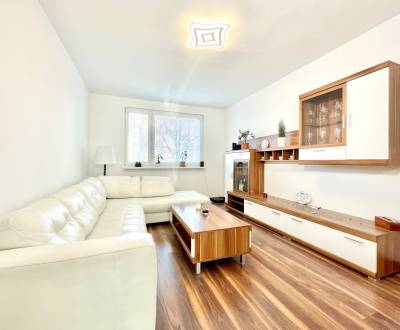 Kaufen 4-Zimmer-Wohnung, 4-Zimmer-Wohnung, Dudvážska, Bratislava - Pod