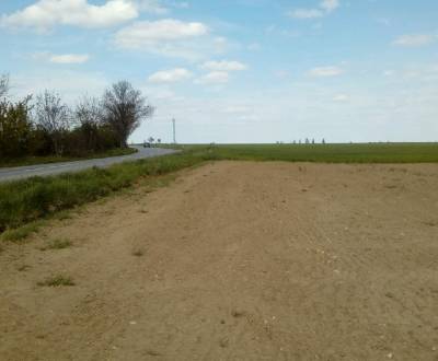 Kaufen landwirtsch. Grundstücke, landwirtsch. Grundstücke, Vištuk, Pez