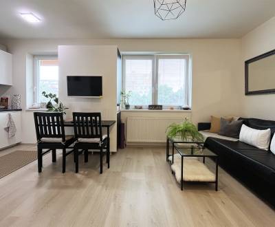 Kaufen 1-Zimmer-Wohnung, 1-Zimmer-Wohnung, Lužná, Bratislava - Petržal