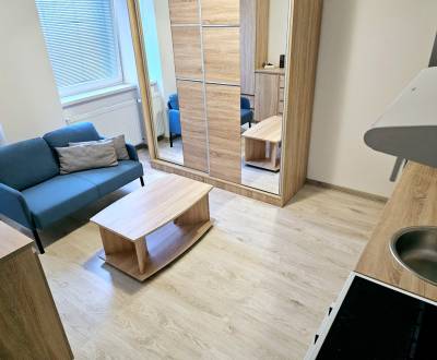 Mieten 1-Zimmer-Wohnung, 1-Zimmer-Wohnung, Bánovce nad Bebravou, Slowa