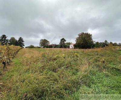 Kaufen Garten, Garten, Nové Zámky, Slowakei