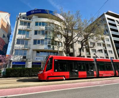 Mieten Büros, Büros, Námestie slobody, Bratislava - Staré Mesto, Slowa