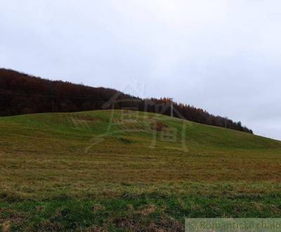 Kaufen landwirtsch. Grundstücke, landwirtsch. Grundstücke, Humenné, Sl