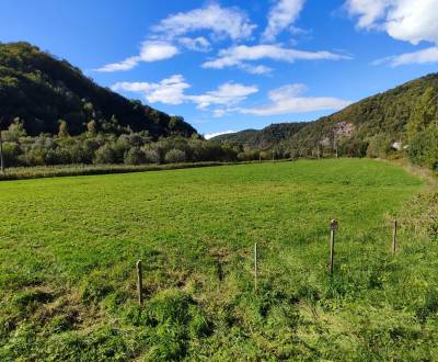 Kaufen landwirtsch. Grundstücke, landwirtsch. Grundstücke, Žiar nad Hr