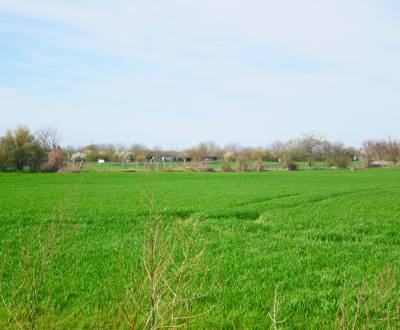 Kaufen Industriegrund, Industriegrund, Zavarská, Trnava, Slowakei