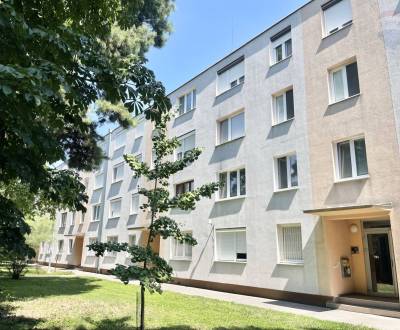 Suche 3-Zimmer-Wohnung, 3-Zimmer-Wohnung, Dunajská Streda, Slowakei