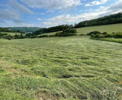 Kaufen landwirtsch. Grundstücke, landwirtsch. Grundstücke, Prešov, Slo