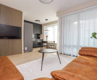 Mieten 2-Zimmer-Wohnung, 2-Zimmer-Wohnung, Pribinova, Bratislava - Ruž