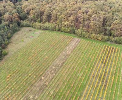 Kaufen landwirtsch. Grundstücke, landwirtsch. Grundstücke, Novosadská,