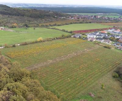 Kaufen landwirtsch. Grundstücke, landwirtsch. Grundstücke, Novosadská,