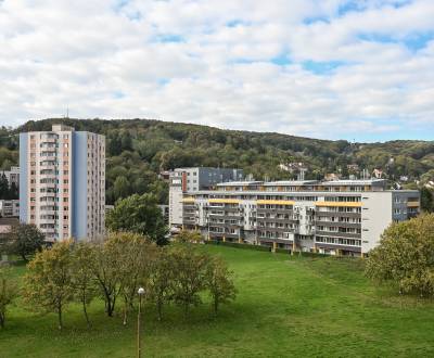 Kaufen 1-Zimmer-Wohnung, 1-Zimmer-Wohnung, Pod záhradami, Bratislava -