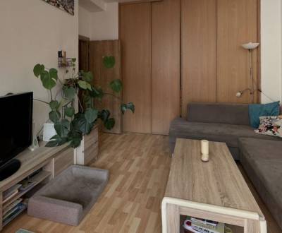 Kaufen 2-Zimmer-Wohnung, 2-Zimmer-Wohnung, Belehradská, Bratislava - N