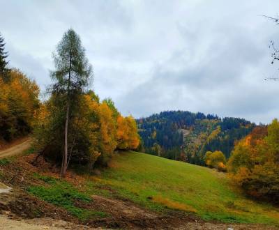 Kaufen Baugrundstück Erholung, Baugrundstück Erholung, Veľké Rovné, By