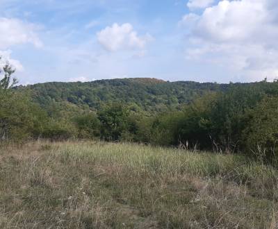 Kaufen Baugrundstück Erholung, Baugrundstück Erholung, Horné Jabloňovc