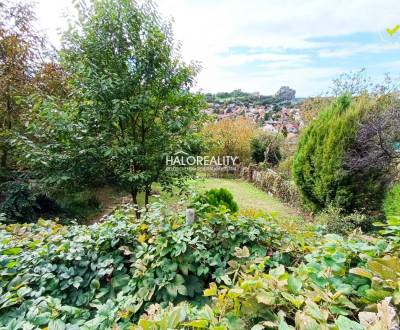 Kaufen Garten, Bratislava - Devín, Slowakei