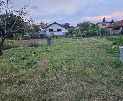 Kaufen Garten, Garten, Trnava, Slowakei